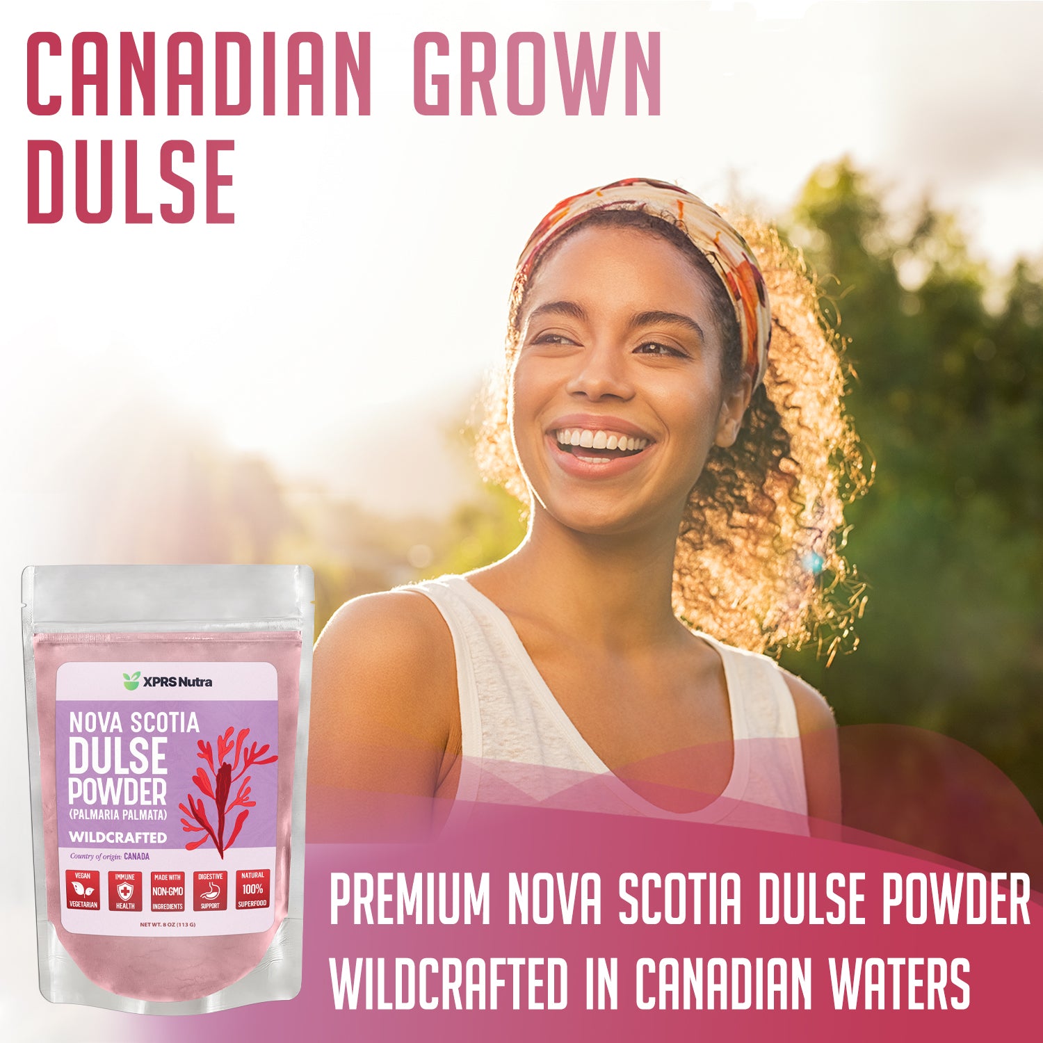 Wildcrafted Nova Scotia Dulse Powder
