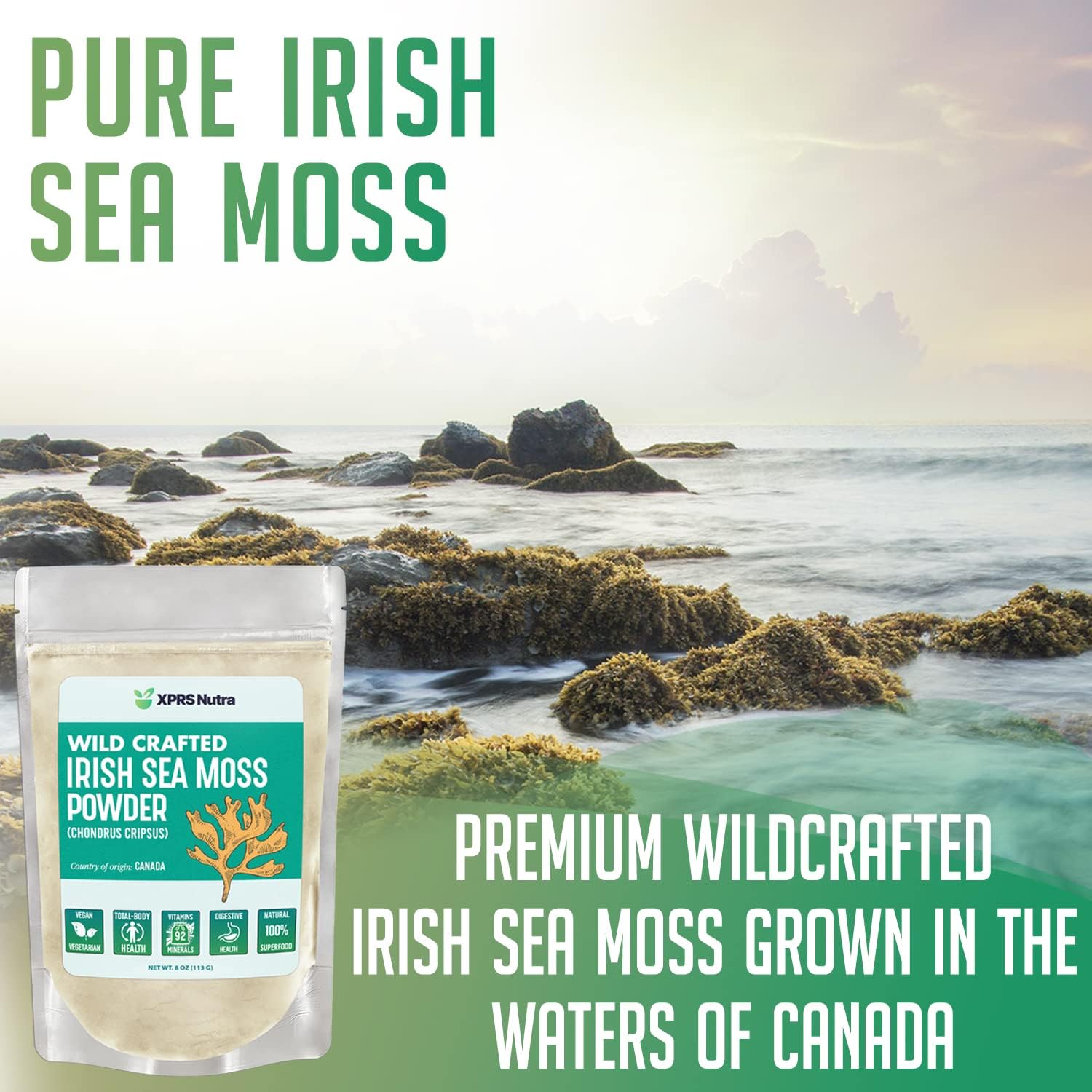 Wild Crafted Canadian Irish Sea Moss Powder