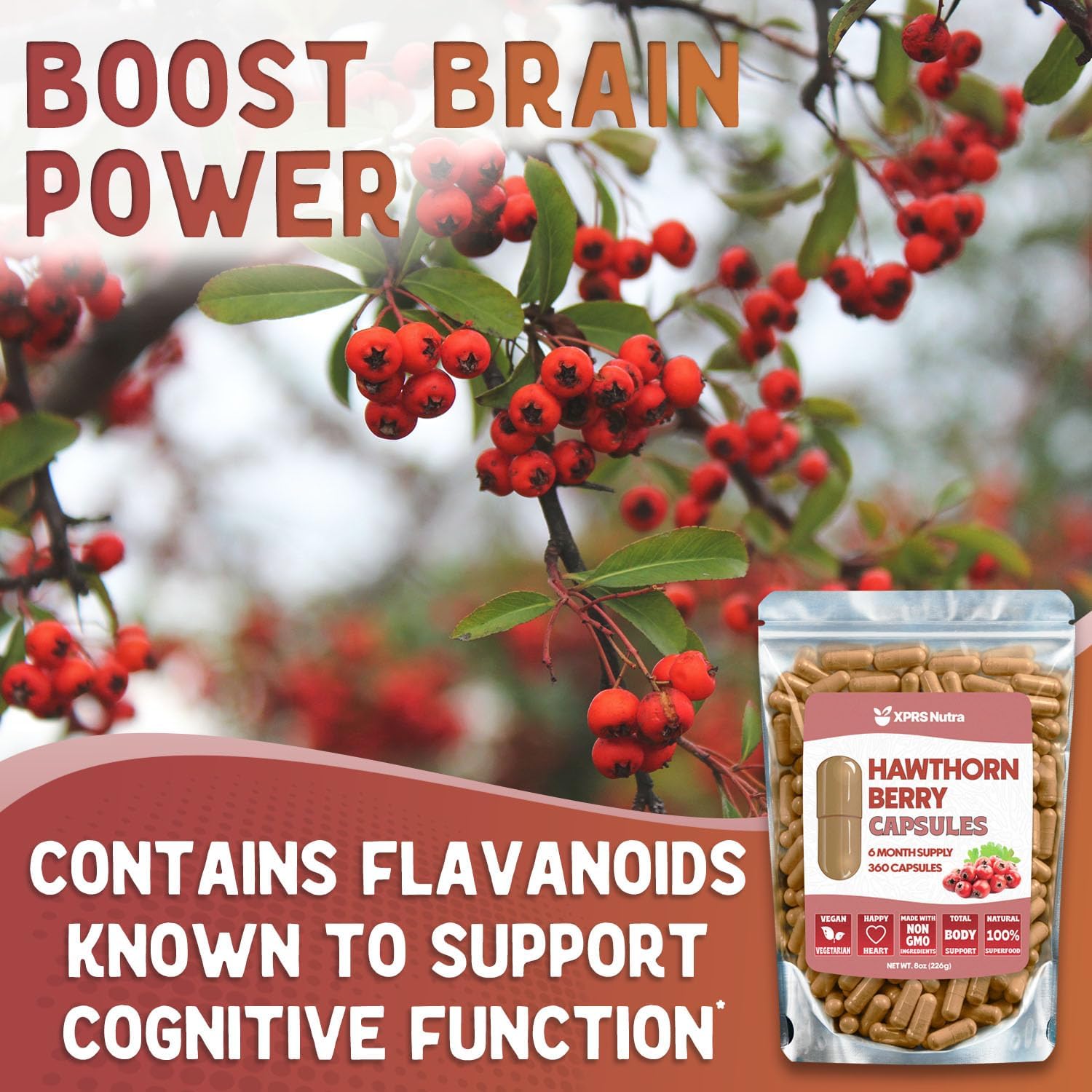 Hawthorn Berry Powder Capsules