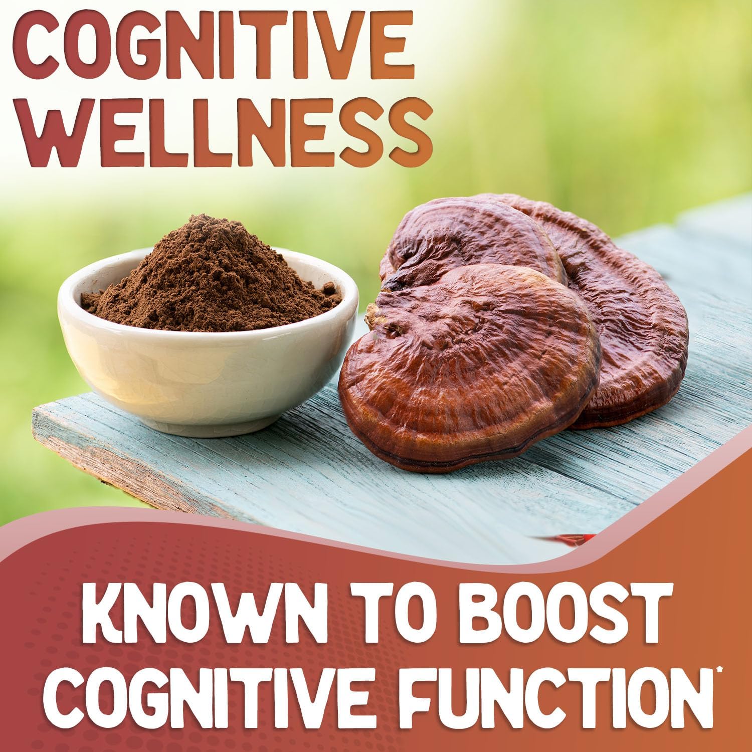Red Reishi Mushroom Powder Capsules