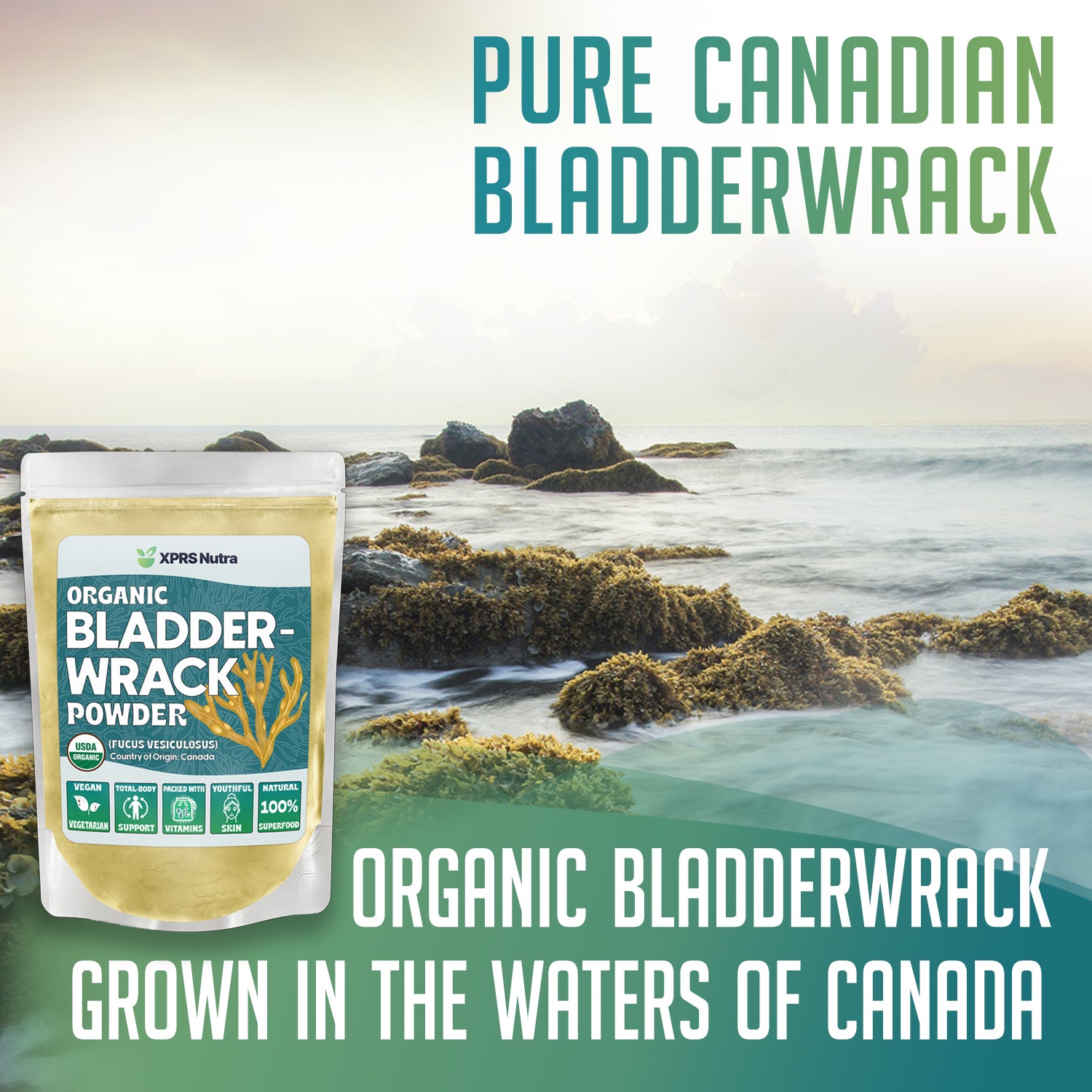Organic Bladderwrack Powder
