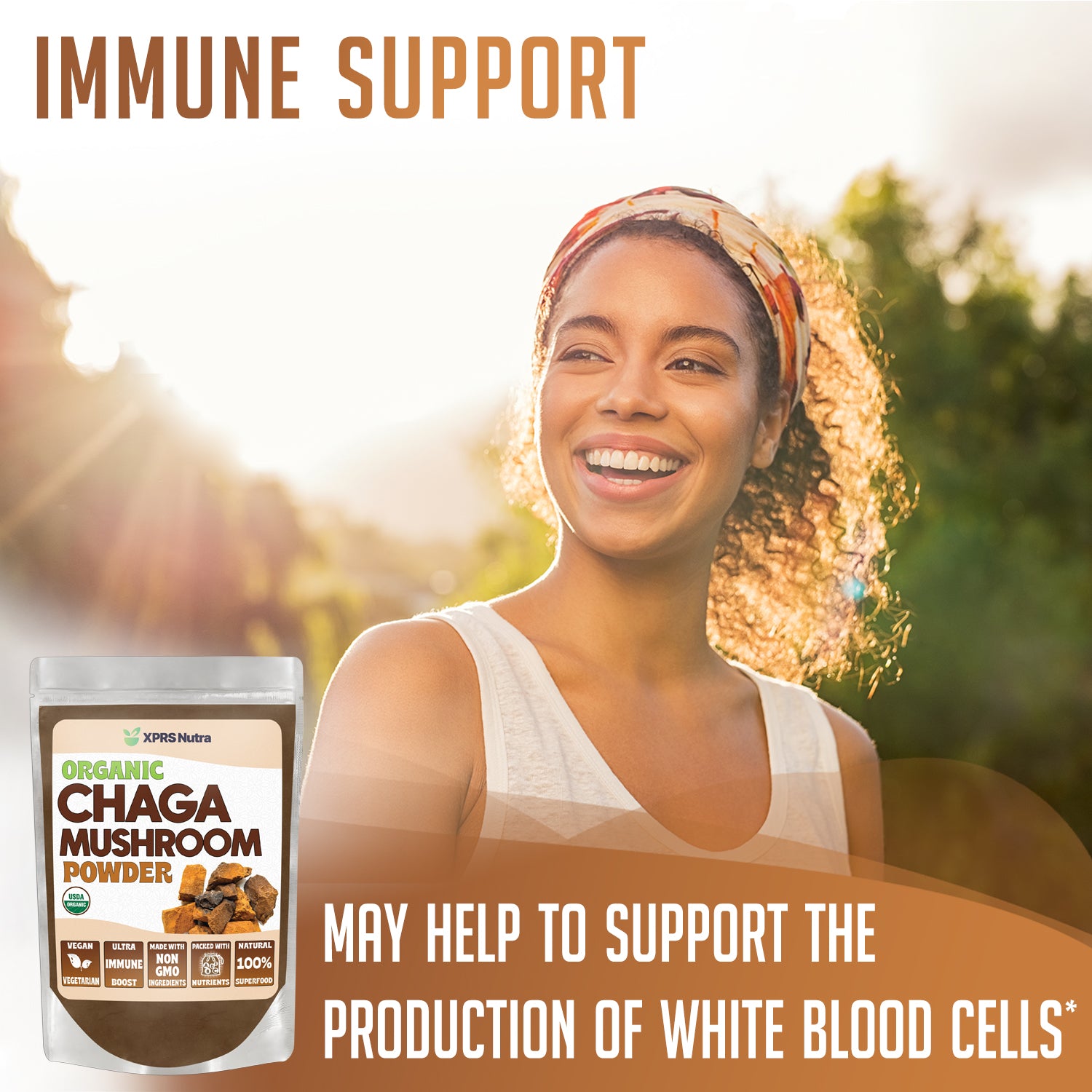 Organic Chaga Mushroom Powder