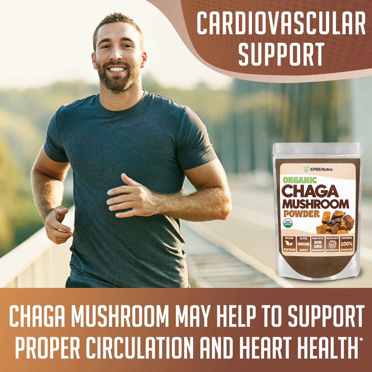 Organic Chaga Mushroom Powder