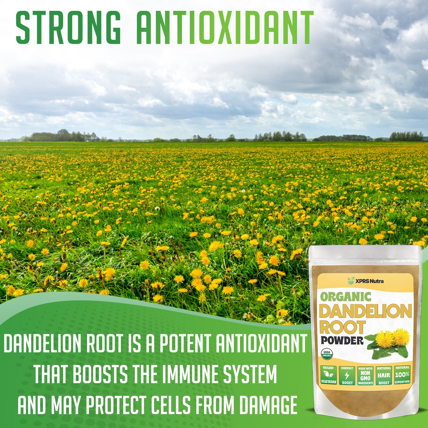 Organic Dandelion Root Powder