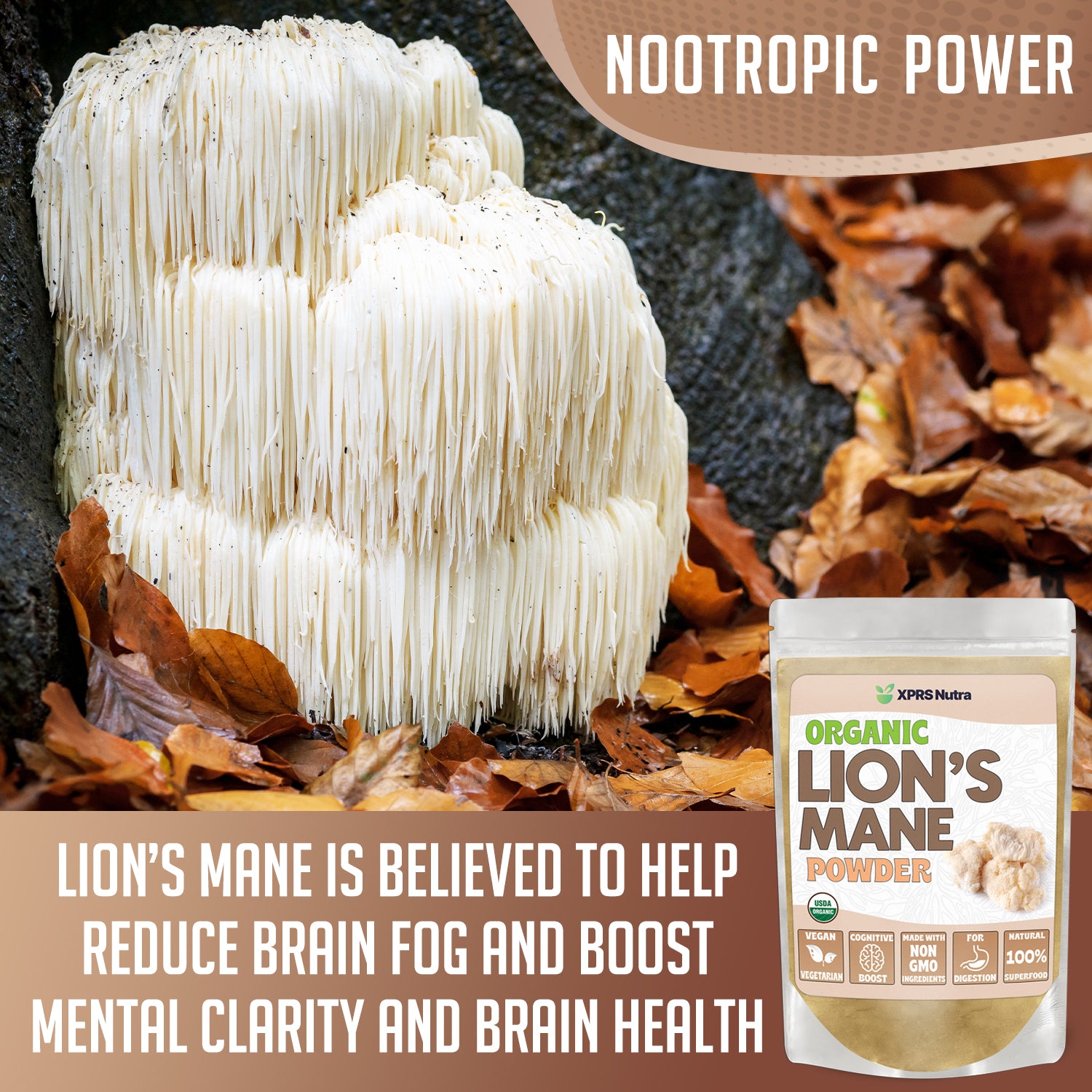 Organic Lion's Mane Powder