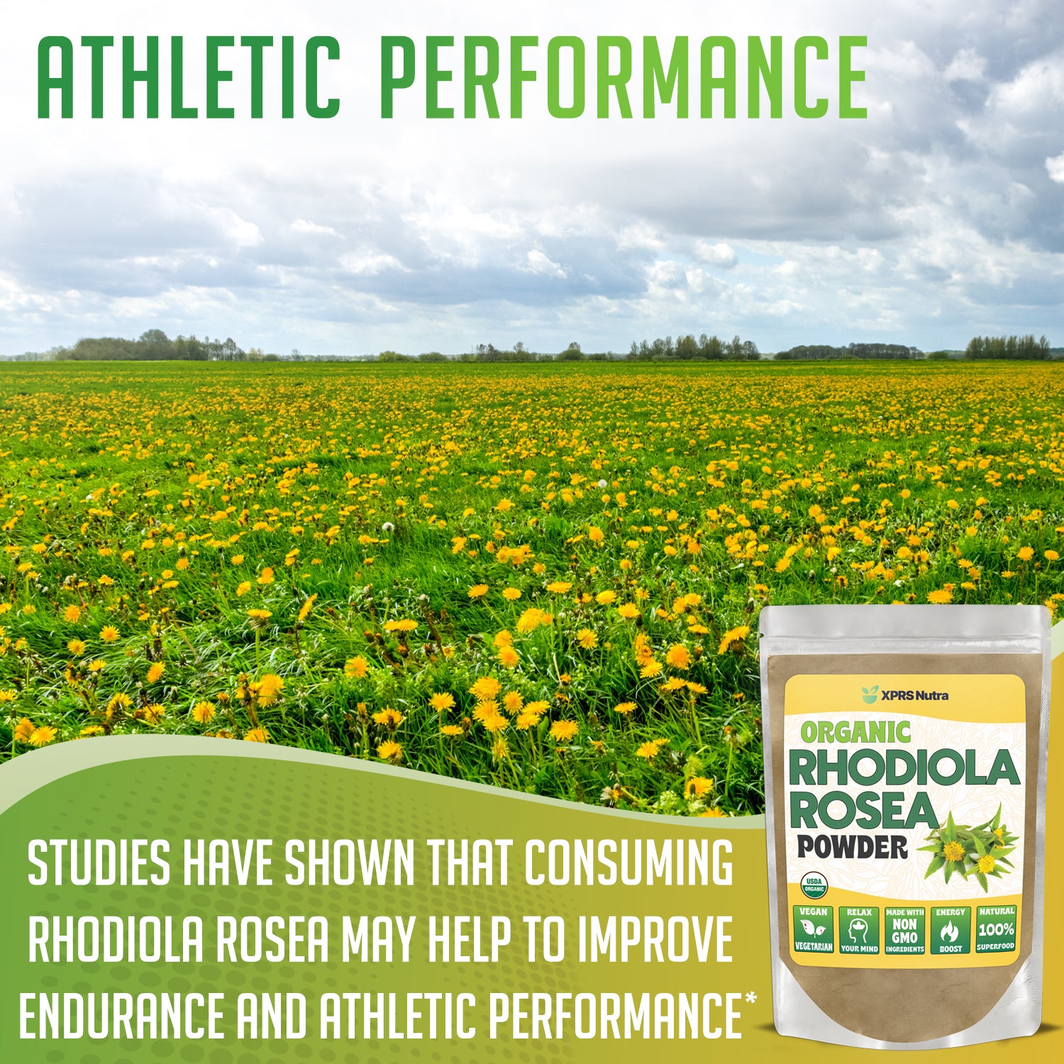 Organic Rhodiola Rosea Powder