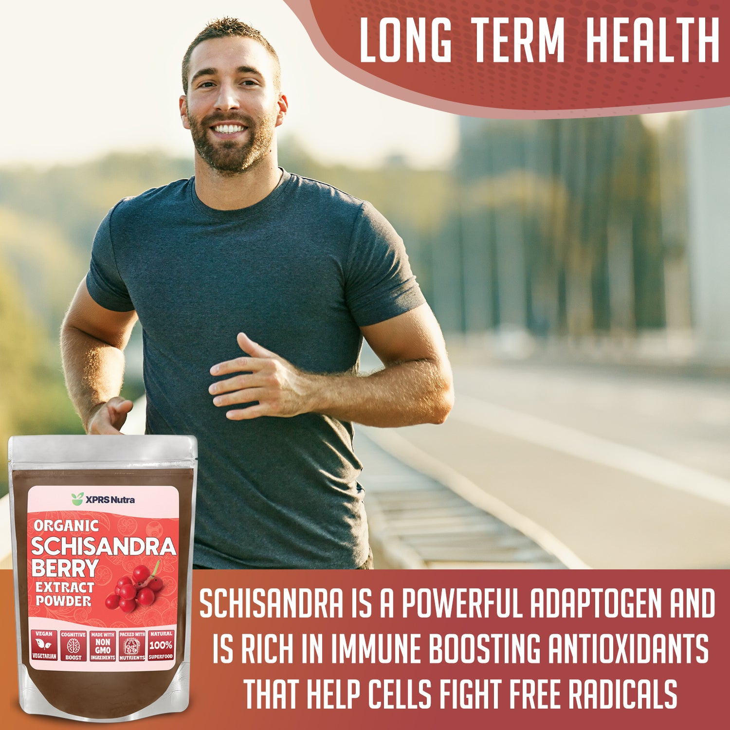 Schisandra Berry Extract Powder