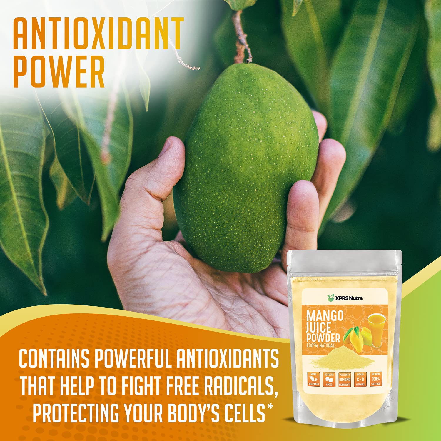 Mango Juice Powder