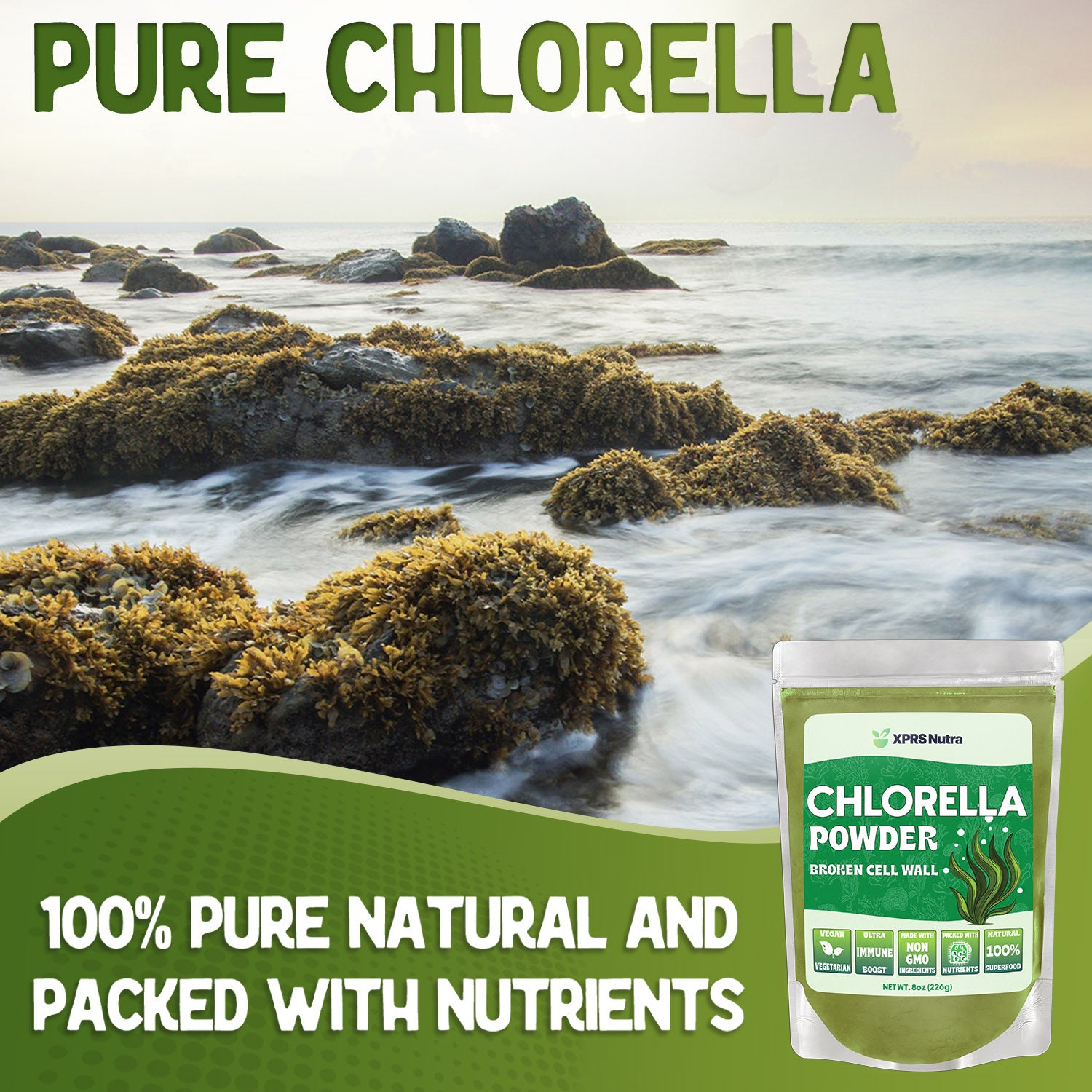 Chlorella Powder
