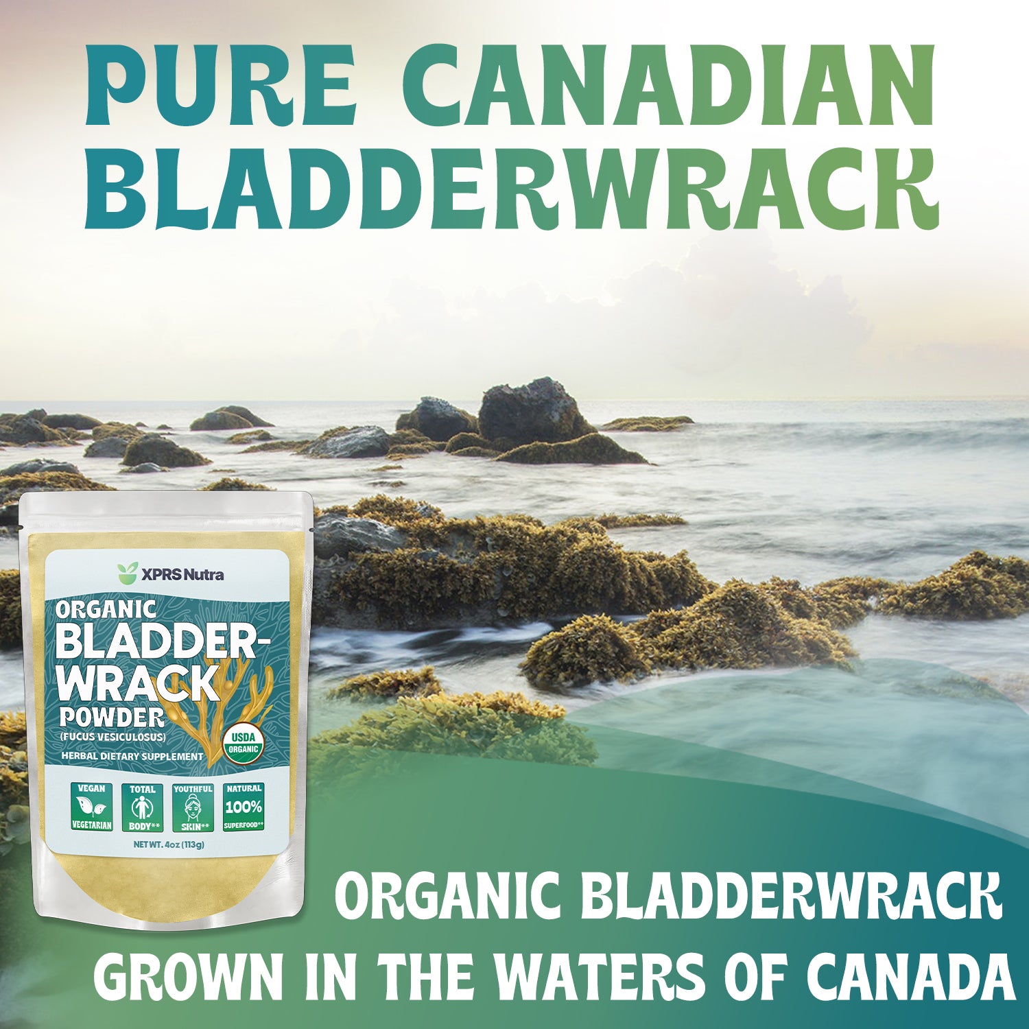 Organic Bladderwrack Powder