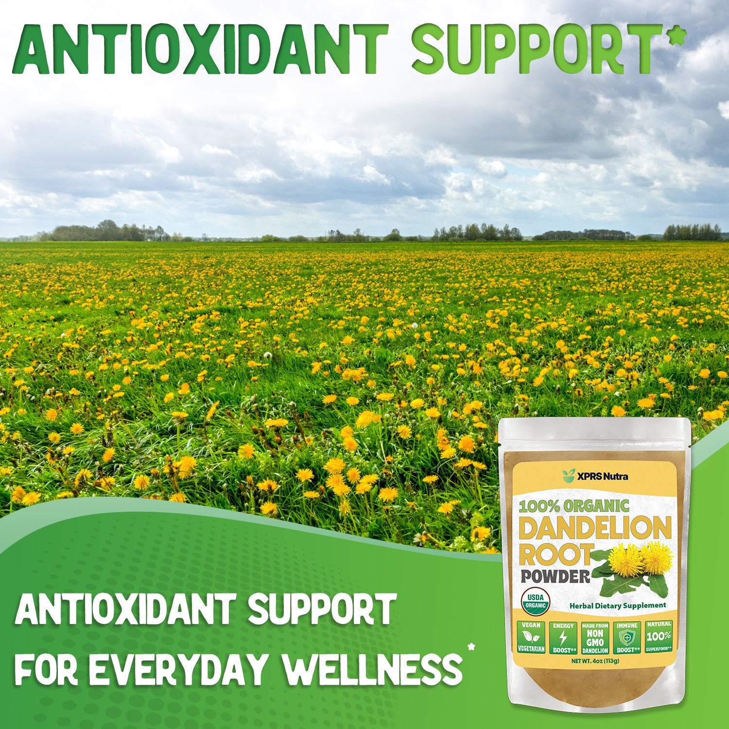 Organic Dandelion Root Powder