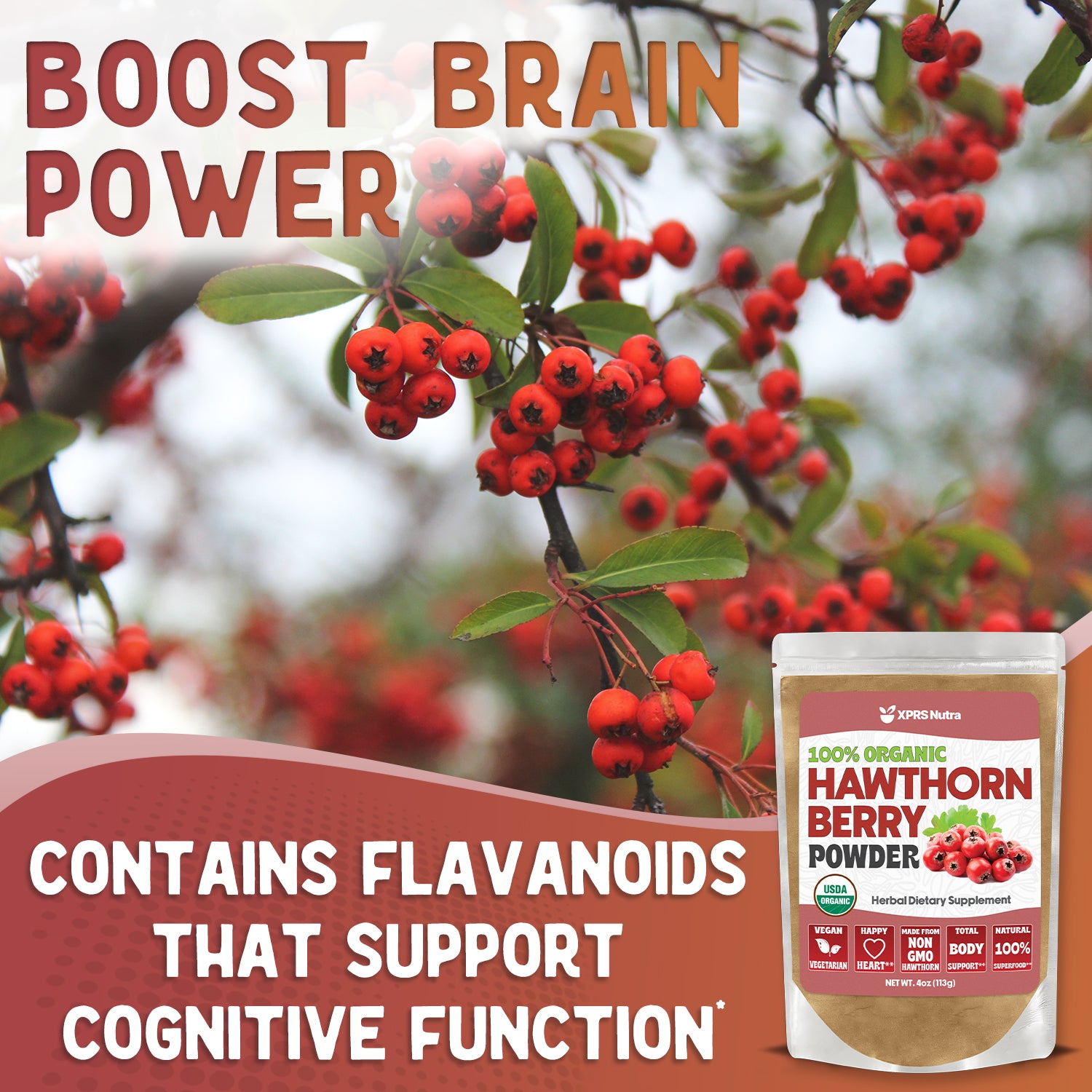 Organic Hawthorn Berry Powder