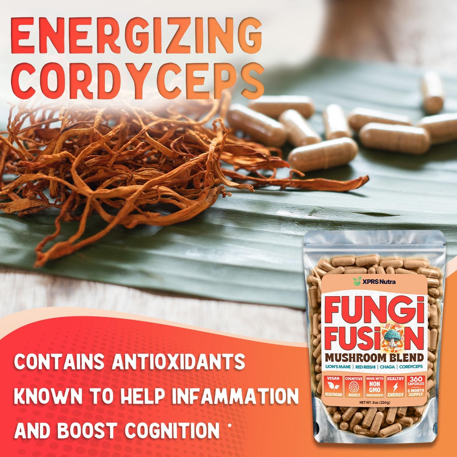 Fungi Fusion Mushroom Blend Capsules - Lion's Mane, Reishi, Chaga, Cordyceps