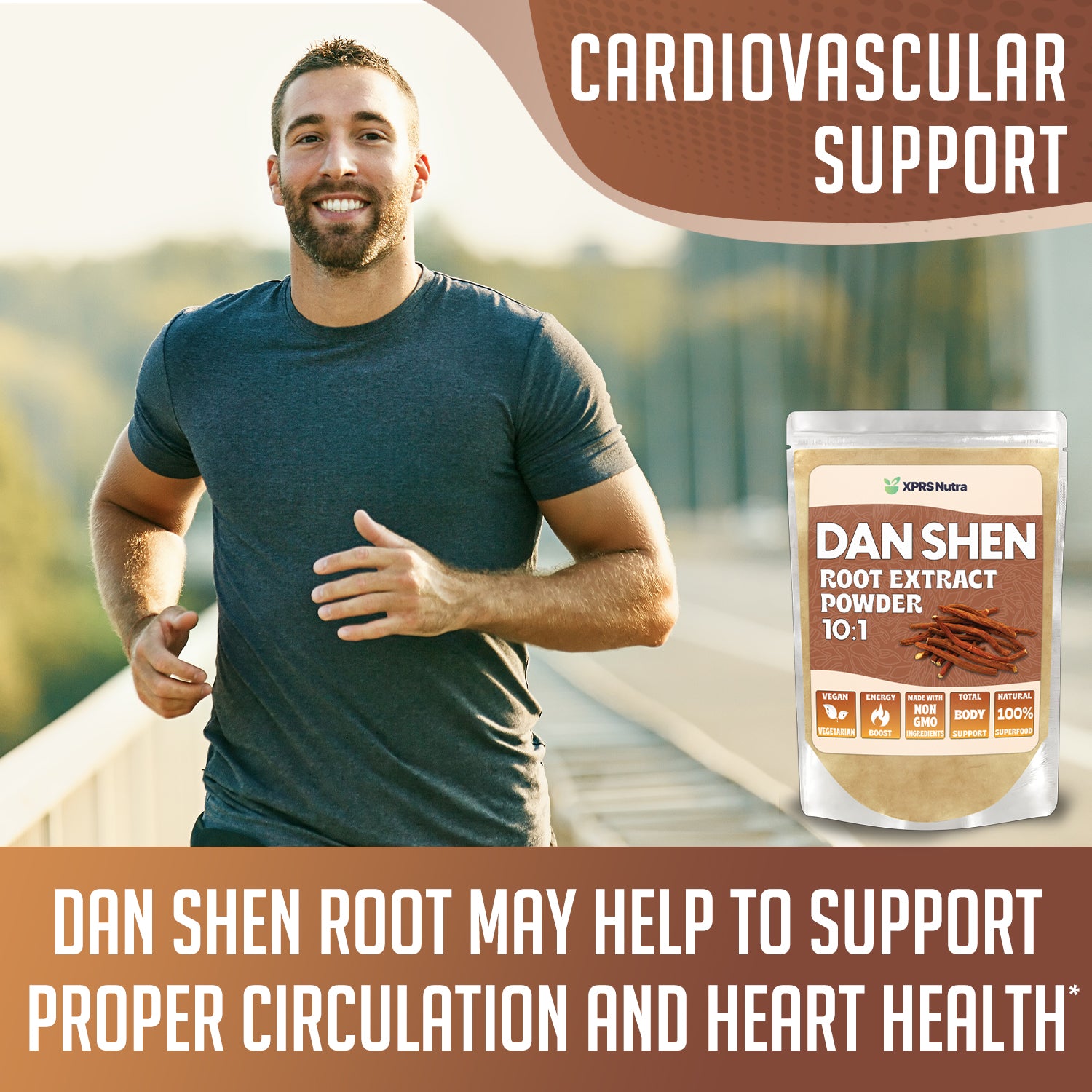 Dan Shen Root Extract Powder 10:1
