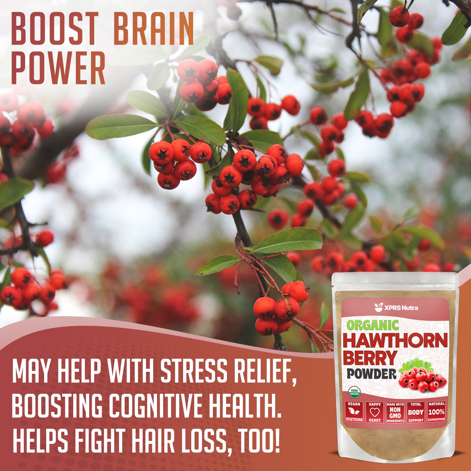 Hawthorn Berry